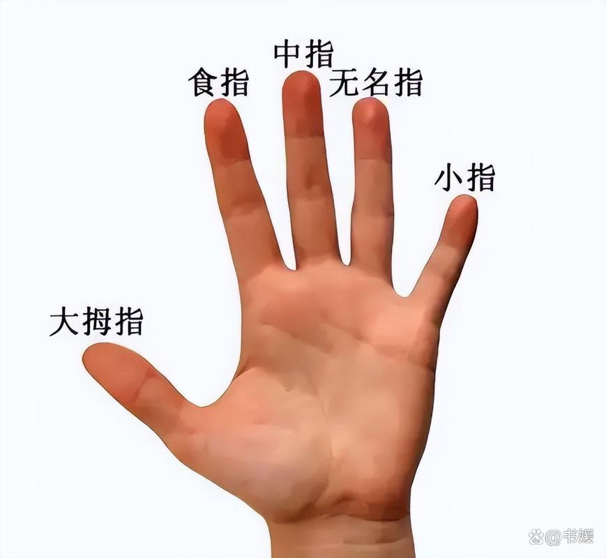 手掌食指长是否预示好命，食指与无名指长短是否影响命运？