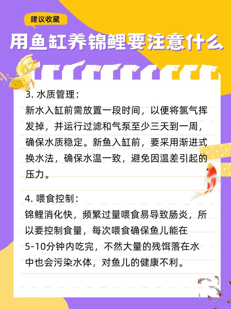 风水鱼缸里可以饲养以肉食为主的鱼类吗？