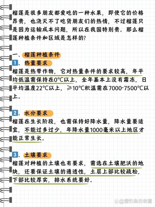 榴莲种植是否适宜，其风水条件如何？