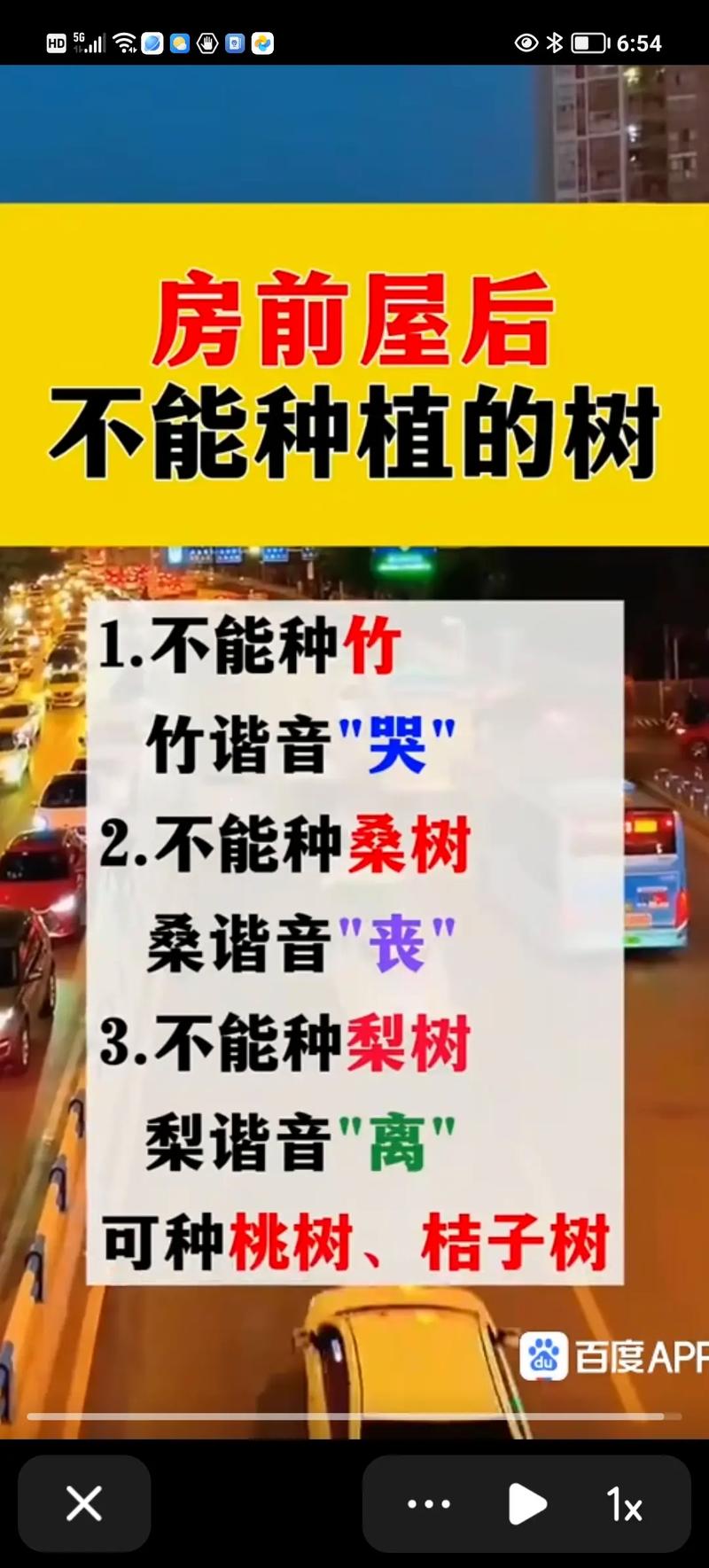 屋顶种树的风水讲究有哪些？