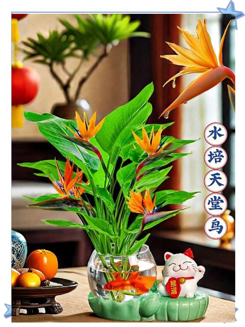 水命适合养什么植物或宠物？