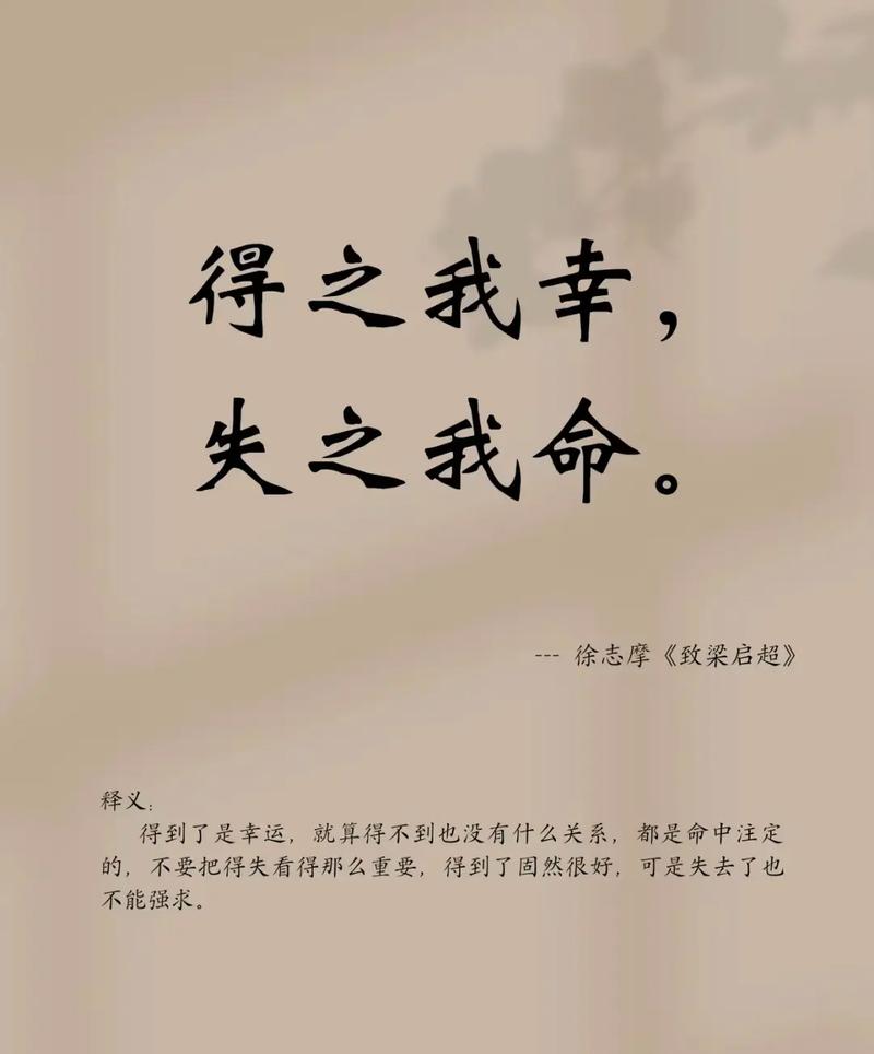 夫子何命焉为命是什么意思？能否解释一下失之我命得之我幸这句话的含义？