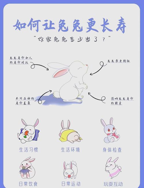 今年的腊月兔子是什么命？九月兔的命运又如何呢？