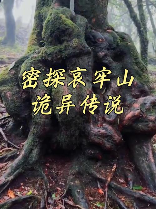 风水极佳之地，是否隐藏着不为人知的神秘传说？