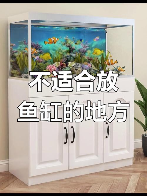 窗前摆放鱼缸对家居风水有影响吗？