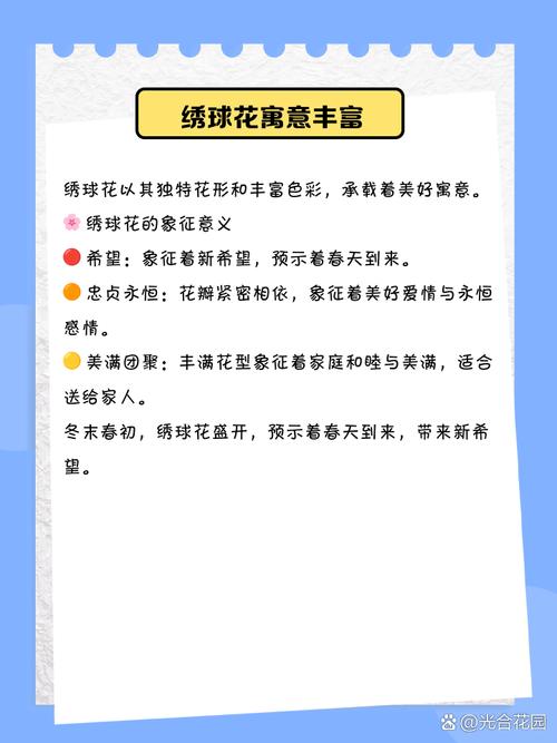 家里摆放绣球花是否符合风水上的吉兆呢？