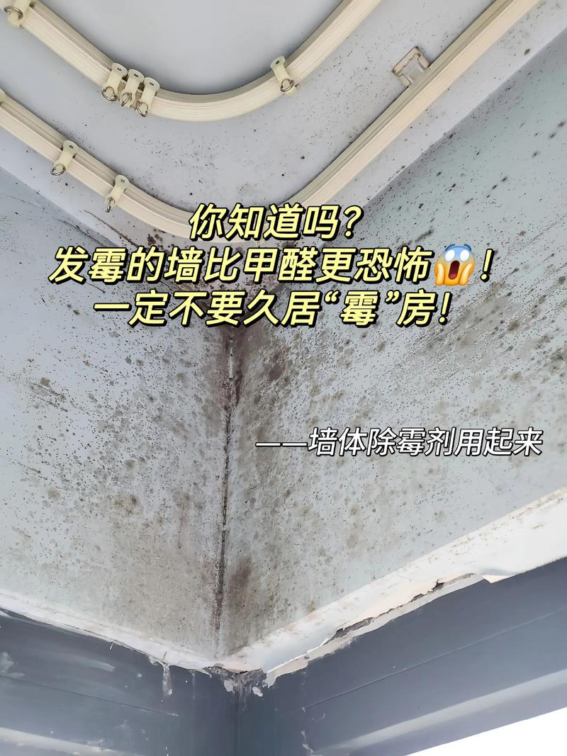 家里总是发霉，这样的居住环境会影响风水吗？