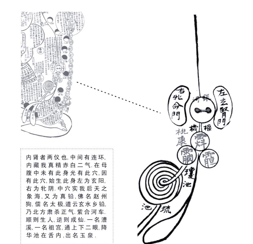 命主命书中的危机和命门分别指什么？