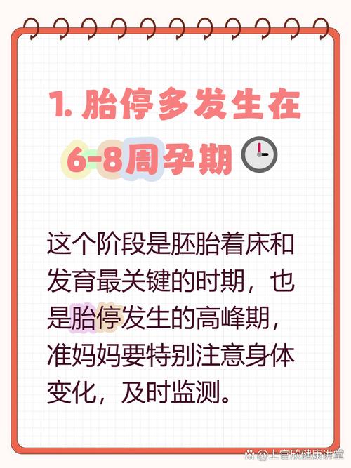 怀孕后做试管婴儿，哪周容易胎停？