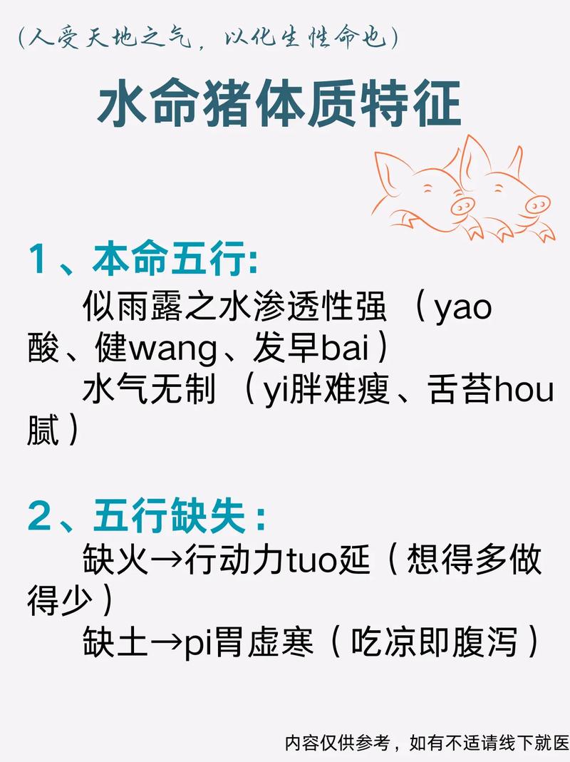 水猪命适合从事哪些工作？需要注意哪些事项以避免不利影响？