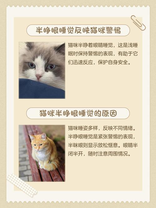 半睁眼睡觉是什么命运象征？半睁眼睡觉有什么深层寓意？