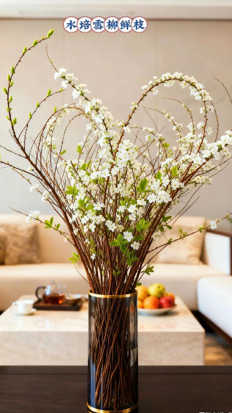 家里养雪柳会对风水产生怎样的影响呢？