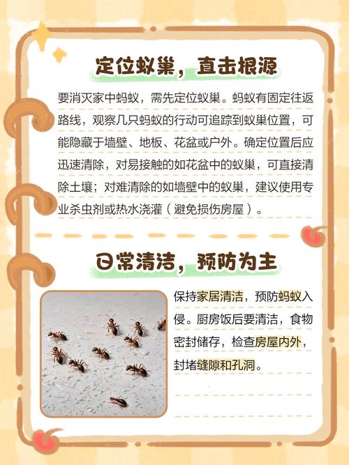 家里出现蚂蚁，如何通过风水改善？