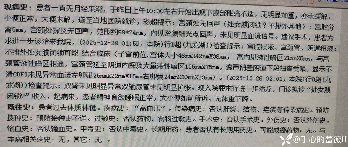 赵奶奶命理馆的命理服务评价如何？