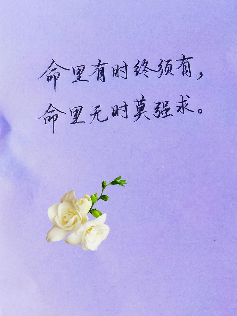 若命里注定无此命，命中注定有，无时莫强求，这句话该如何为一个长尾？