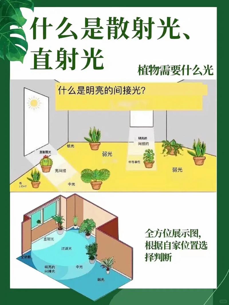 好风水是否一定要有充足的阳光照射？