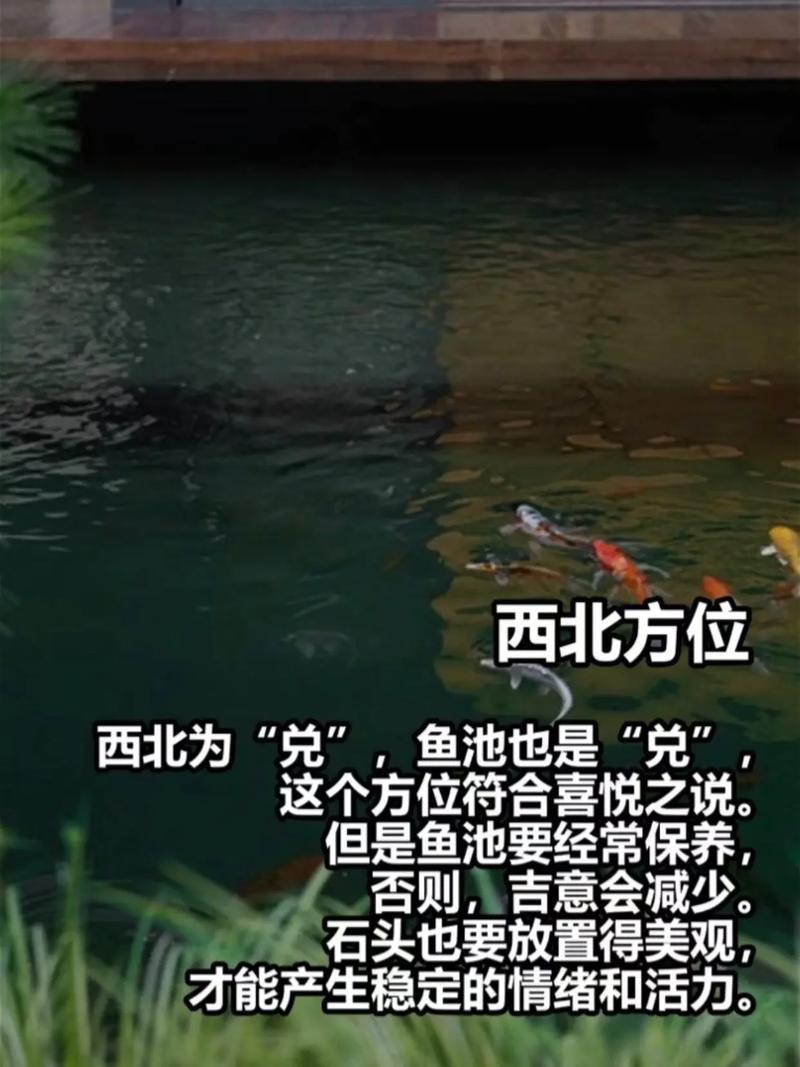 在风水学中，楼顶养鱼是否符合传统风水布局？