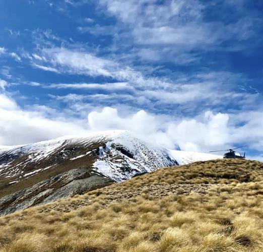 扎根古城墙，命途如何？城墙土壤有何特殊含义？