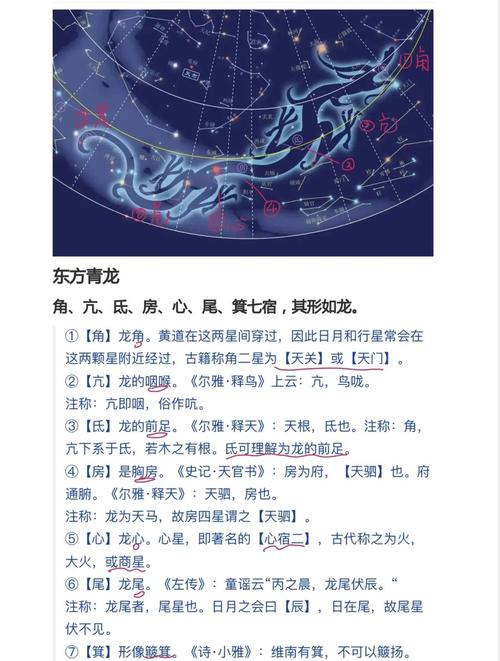 应龙之命和青龙命格分别是什么命理？