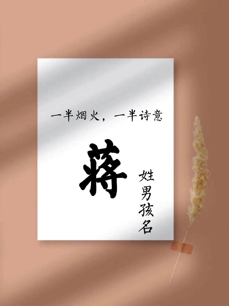 2026年蒋姓男孩取什么吉利名字好？推荐以下名字供参考。