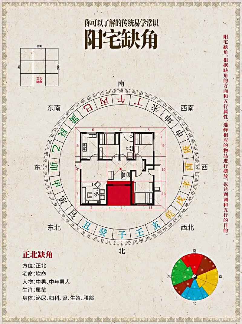 在风水学中，主房窗外养鸽子是否符合吉利的布局原则呢？