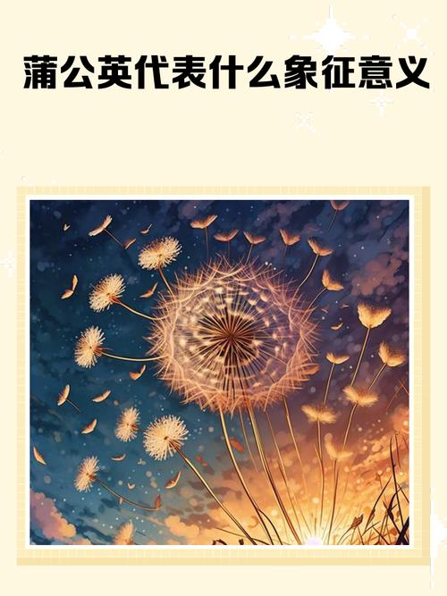 蒲公英在风水中的象征意义是什么？