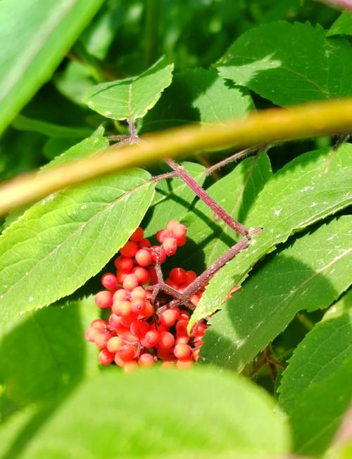 鹤岗真的是传说中的风水宝地吗？