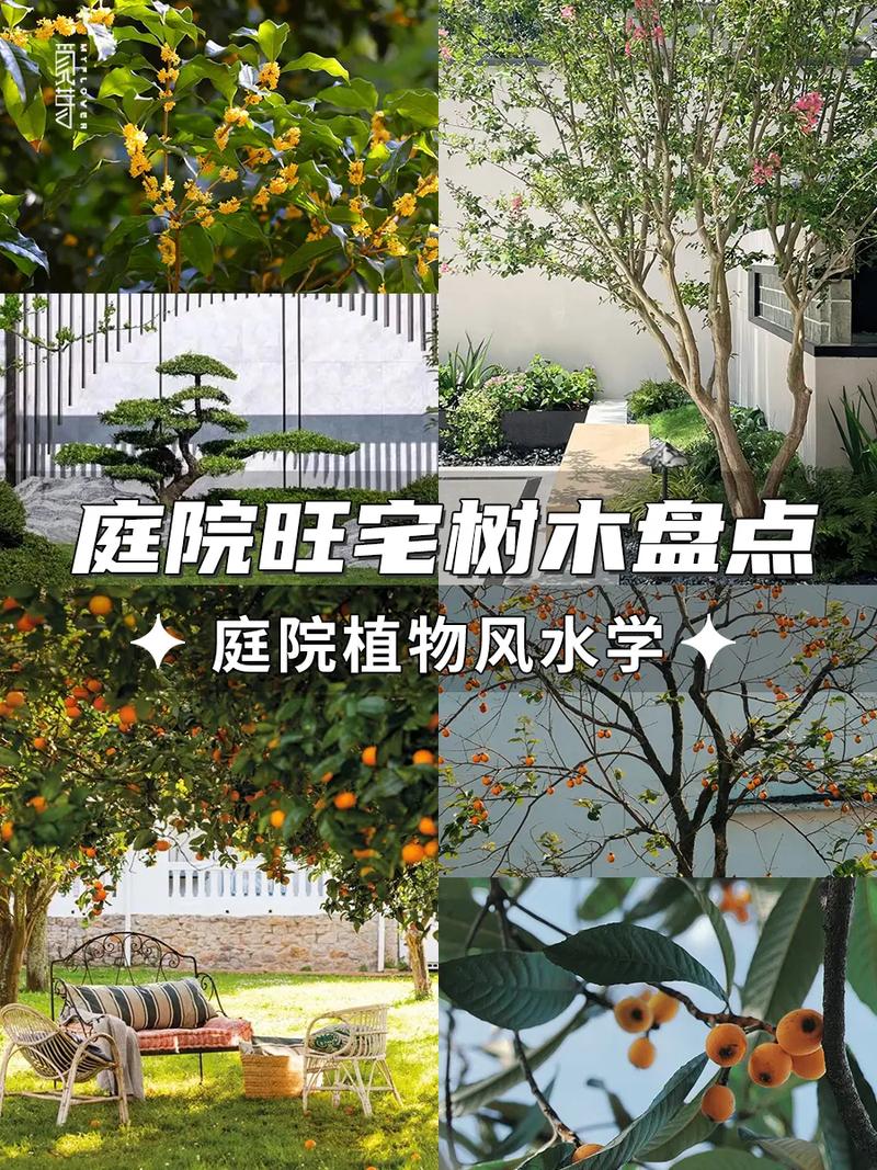 在风水院里种植树木是否会影响风水布局？