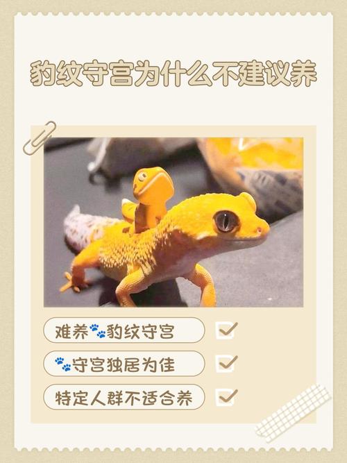 养什么都不活是何命运，养不活宠物的人属何种命格？