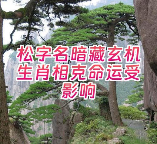 大森林木命与什么命相配，桑松木命改命是否可行？