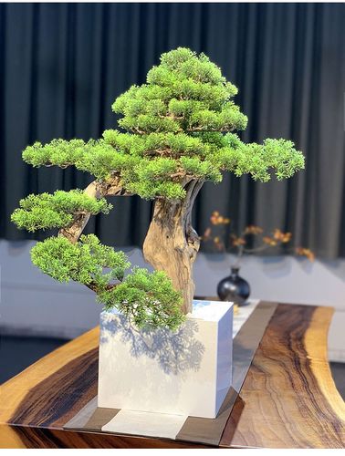 玄关摆放仿真盆景对家居风水有怎样的影响？