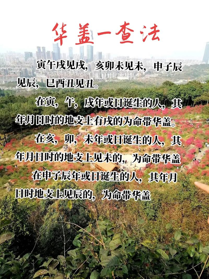 命带华盖的出生日期是什么？这命运是否真的不如他人？