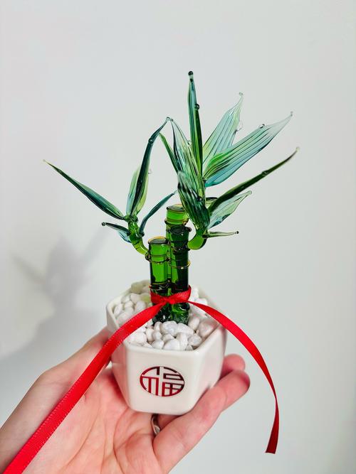 玻璃透竹子对家居风水有怎样的影响？