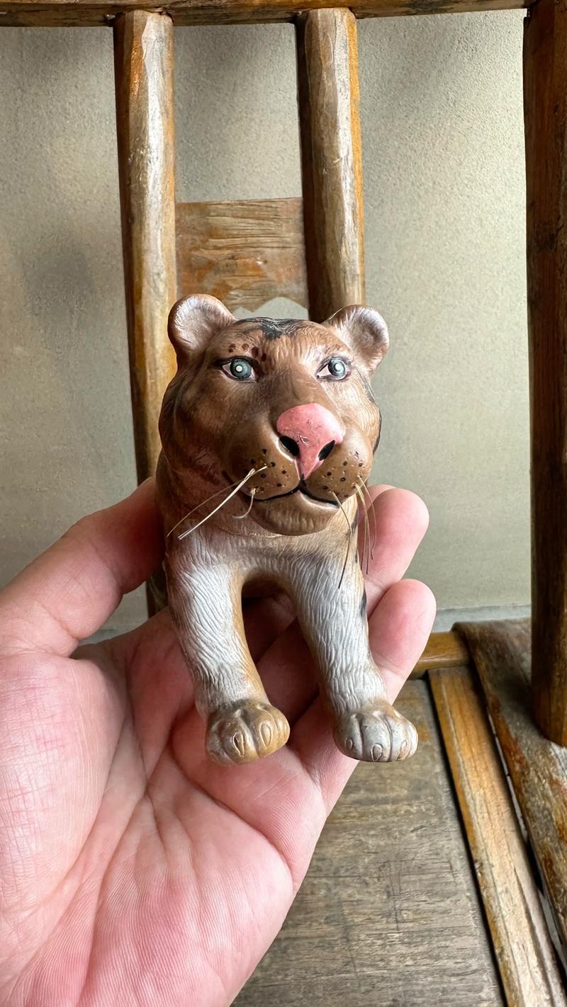 塑料老虎玩具摆放在家中，会影响风水吗？