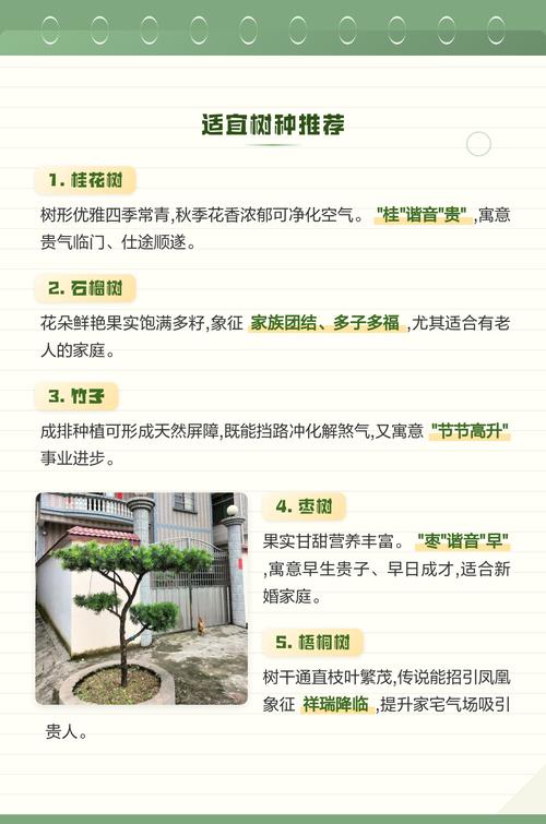 大门前种大树会影响家宅风水吗？