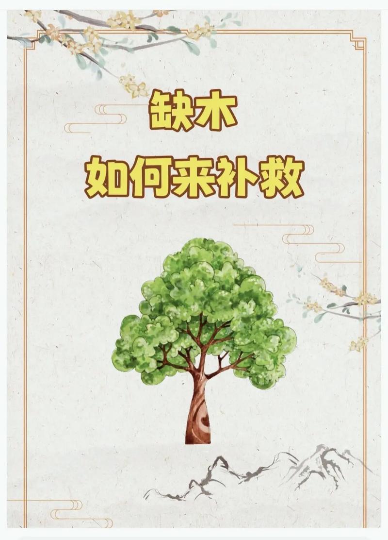 船底木命适合哪些行业？缺什么可以改善运势？