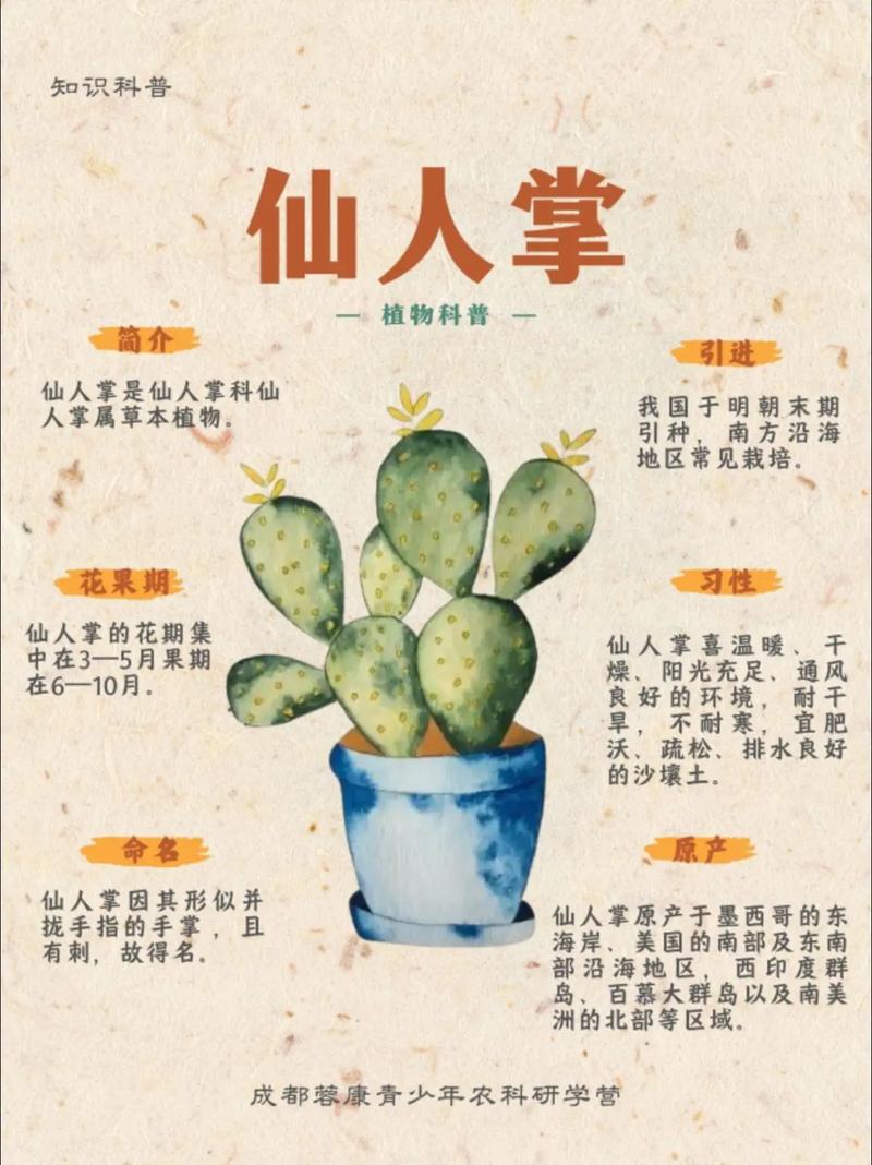 仙人掌在风水上有什么特别的用途吗？