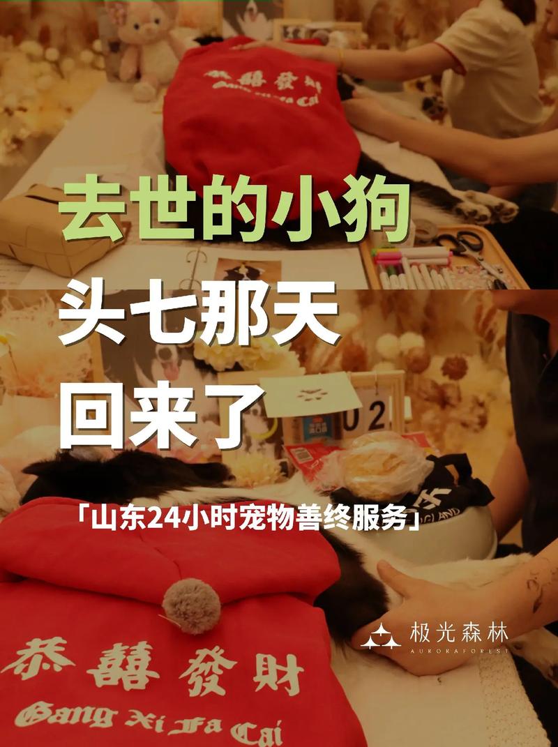 狗有七条命，死后多久会投胎转世？