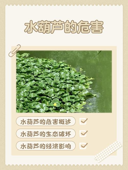 种植菜园会不会对周边邻居家的风水产生不良影响？