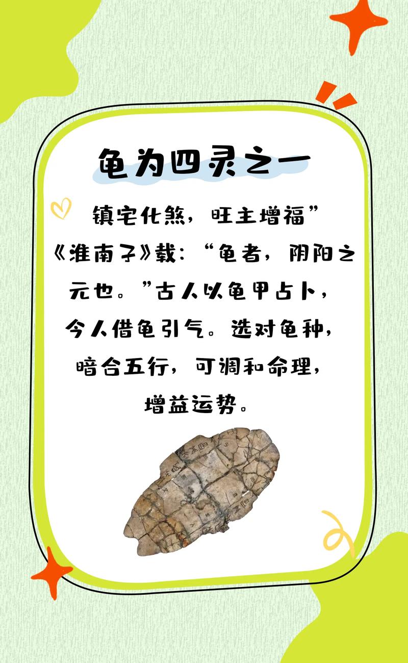 乌龟真的嫩成为家中蕞好的风水象征吗？