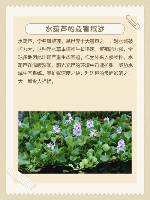 种植菜园会不会对周边邻居家的风水产生不良影响？