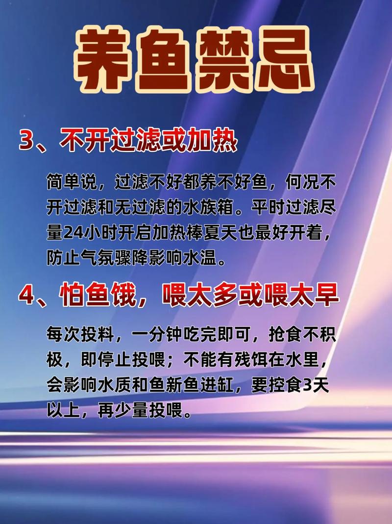 养小鱼真的会对家居风水产生不良影响吗？