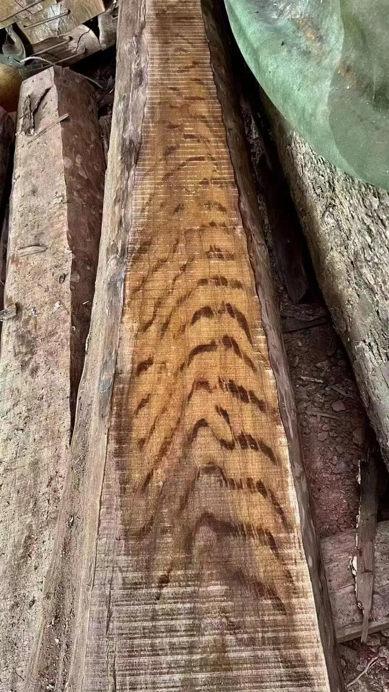 千年金丝楠木是何等珍稀的木材？