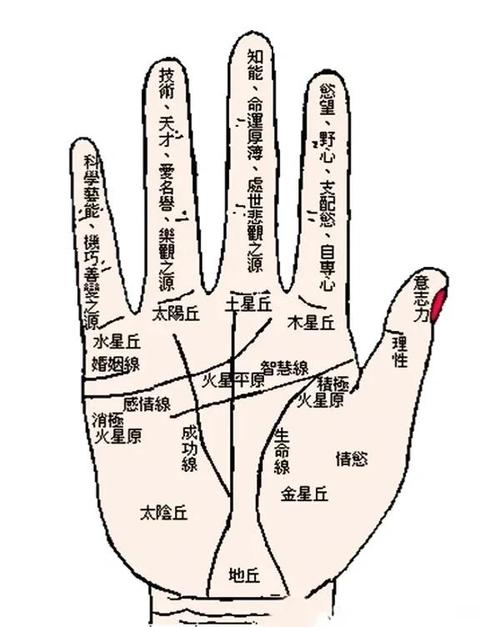 命里无天龙虎口，男人左手虎口有痣算不算虎口命？