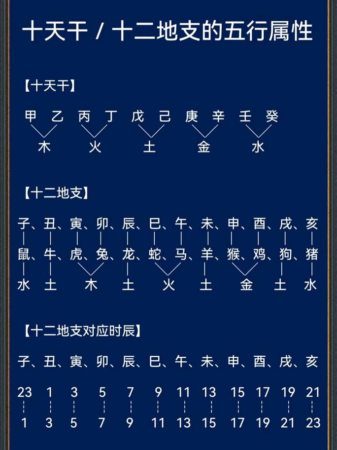 命理学中命属和地支分别代表什么含义？