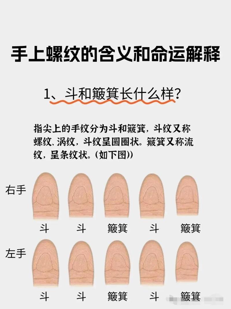 手指螺纹和竖纹分别预示着怎样的命运和征兆？