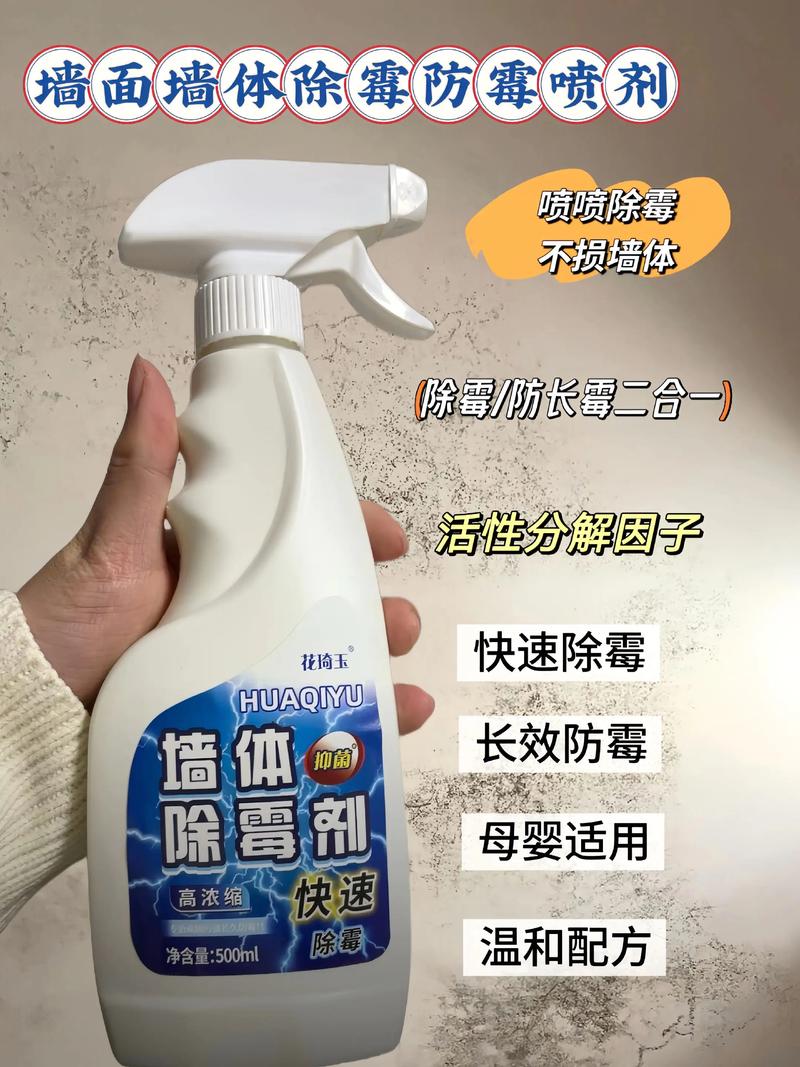 墙壁发霉会对家居风水产生哪些不利影响呢？