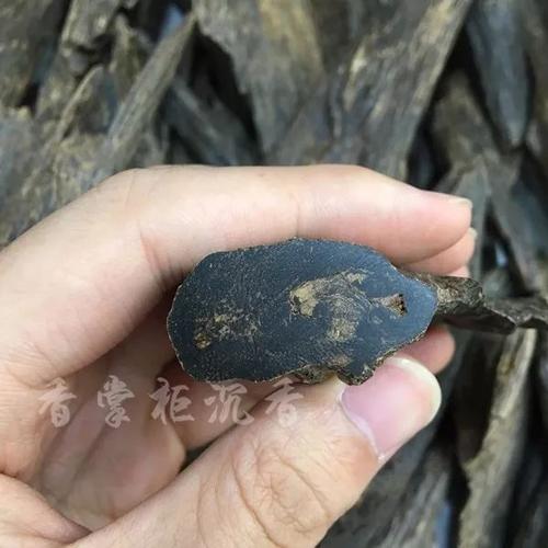 崖柏和沉香，哪种能救命又能续命呢？