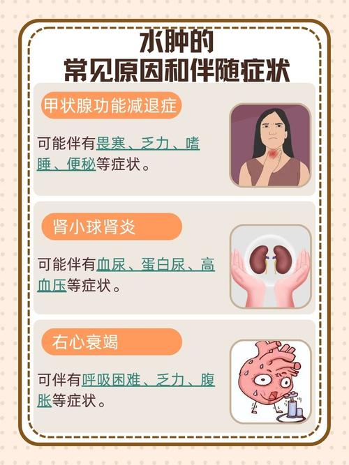 风水水肿是否包含在水肿的范畴之内？