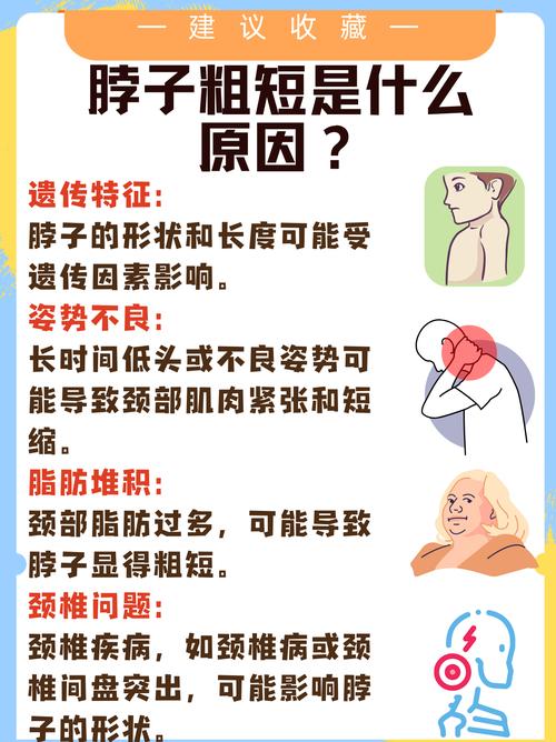 脖子粗短是天生的吗？这是否意味着某种命运？